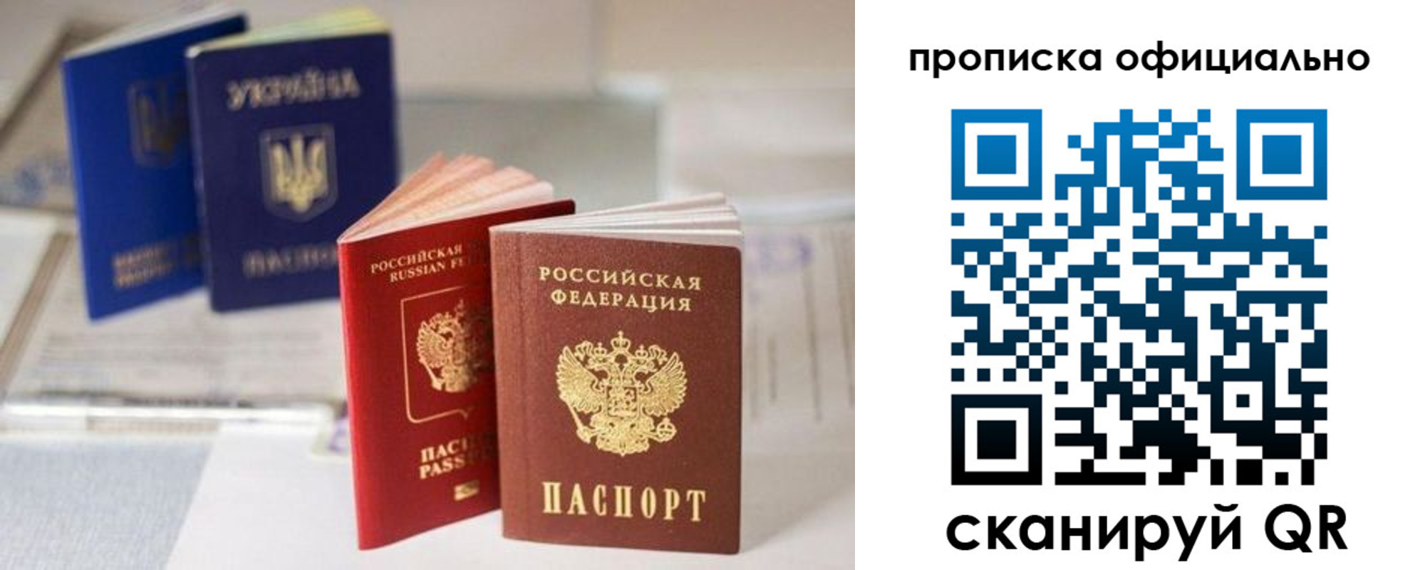 прописка поиск в Курчатове